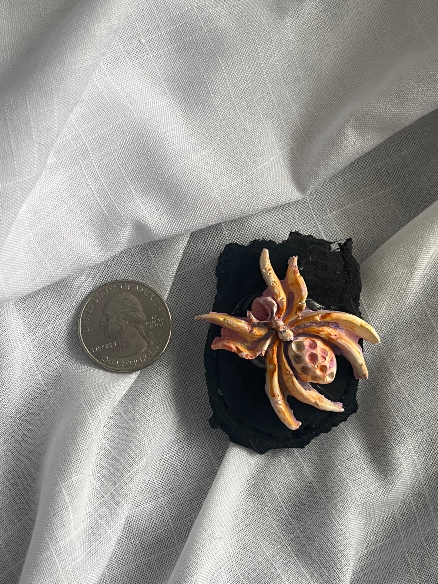Spider Magnet 2