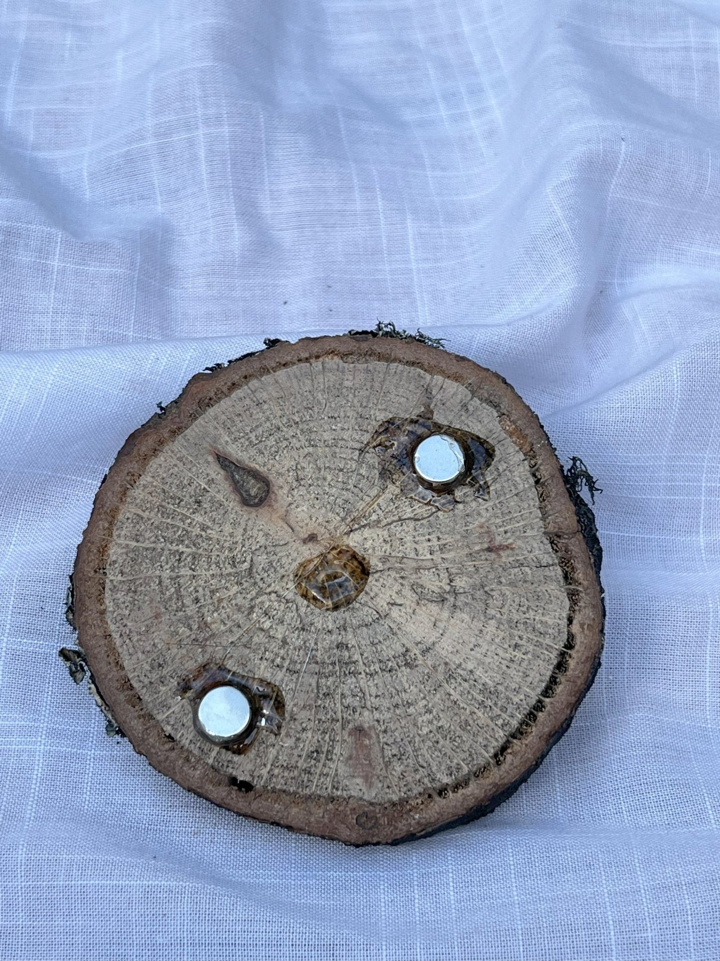 Double Mushroom Magnet Wood and Clay Magnet - Rainbow In The Pines