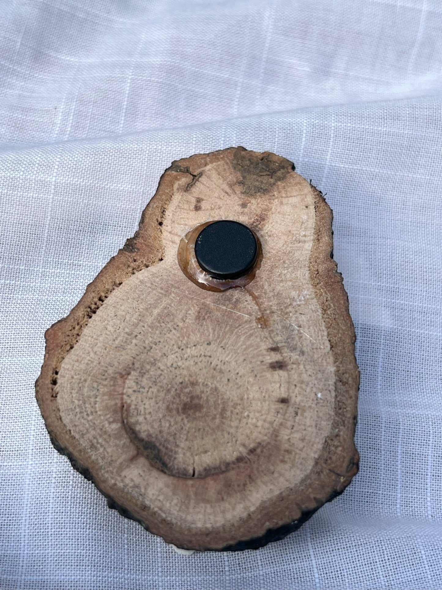 Parrot Magnet (Tiny) Wood and Clay Magnet - Rainbow In The Pines