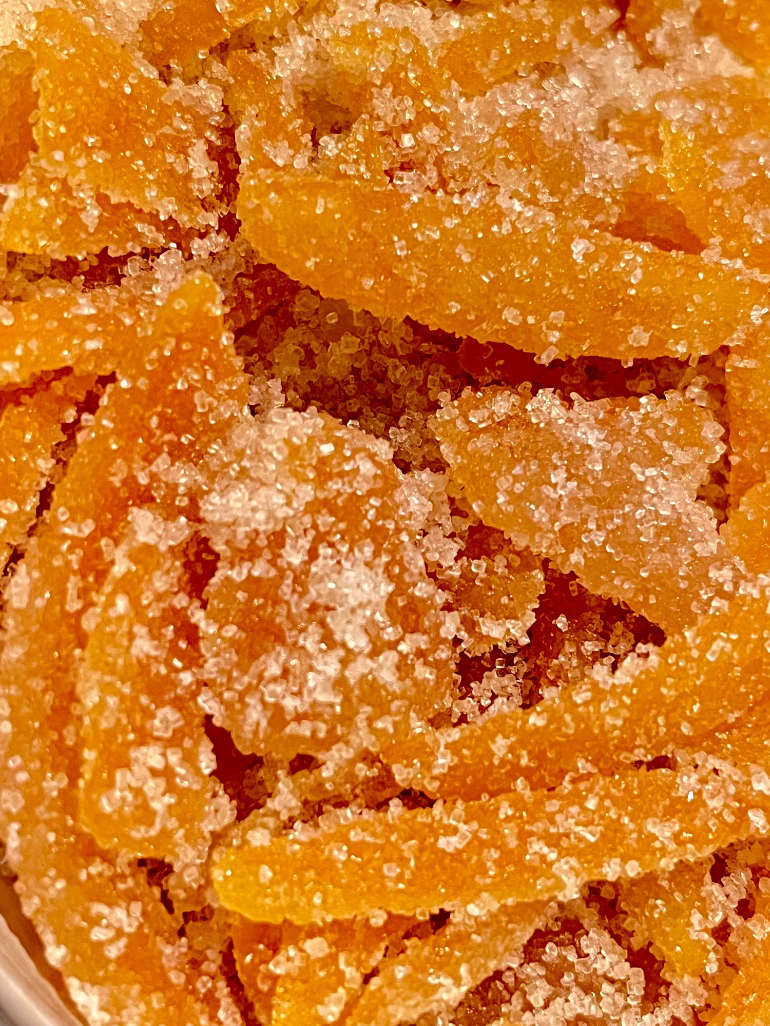 VEGAN YUMMY - Rainbow In The Pines