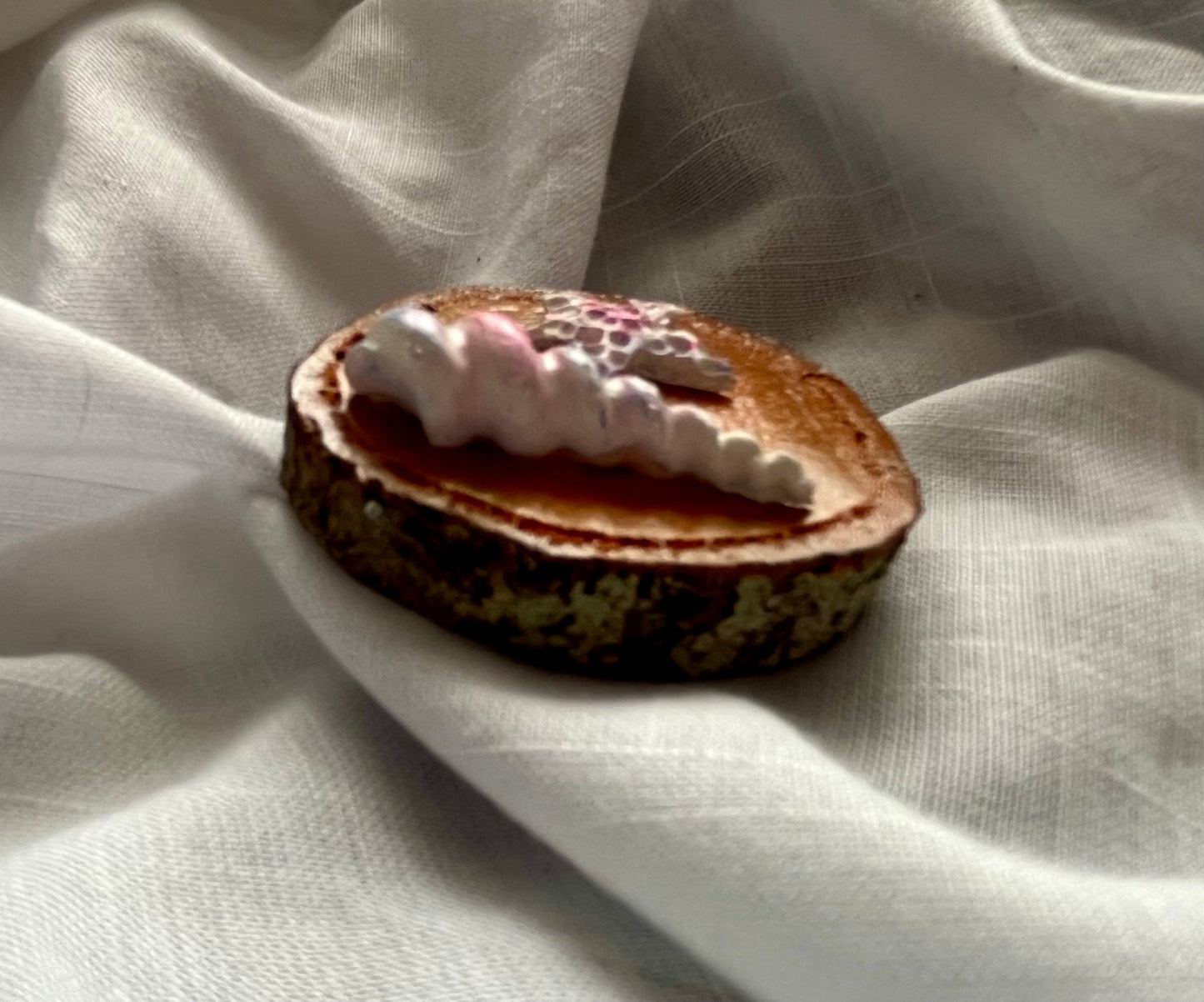 Beach Magnet (Small) Shell and Starfish Wood and Clay Magnet - Rainbow In The Pines