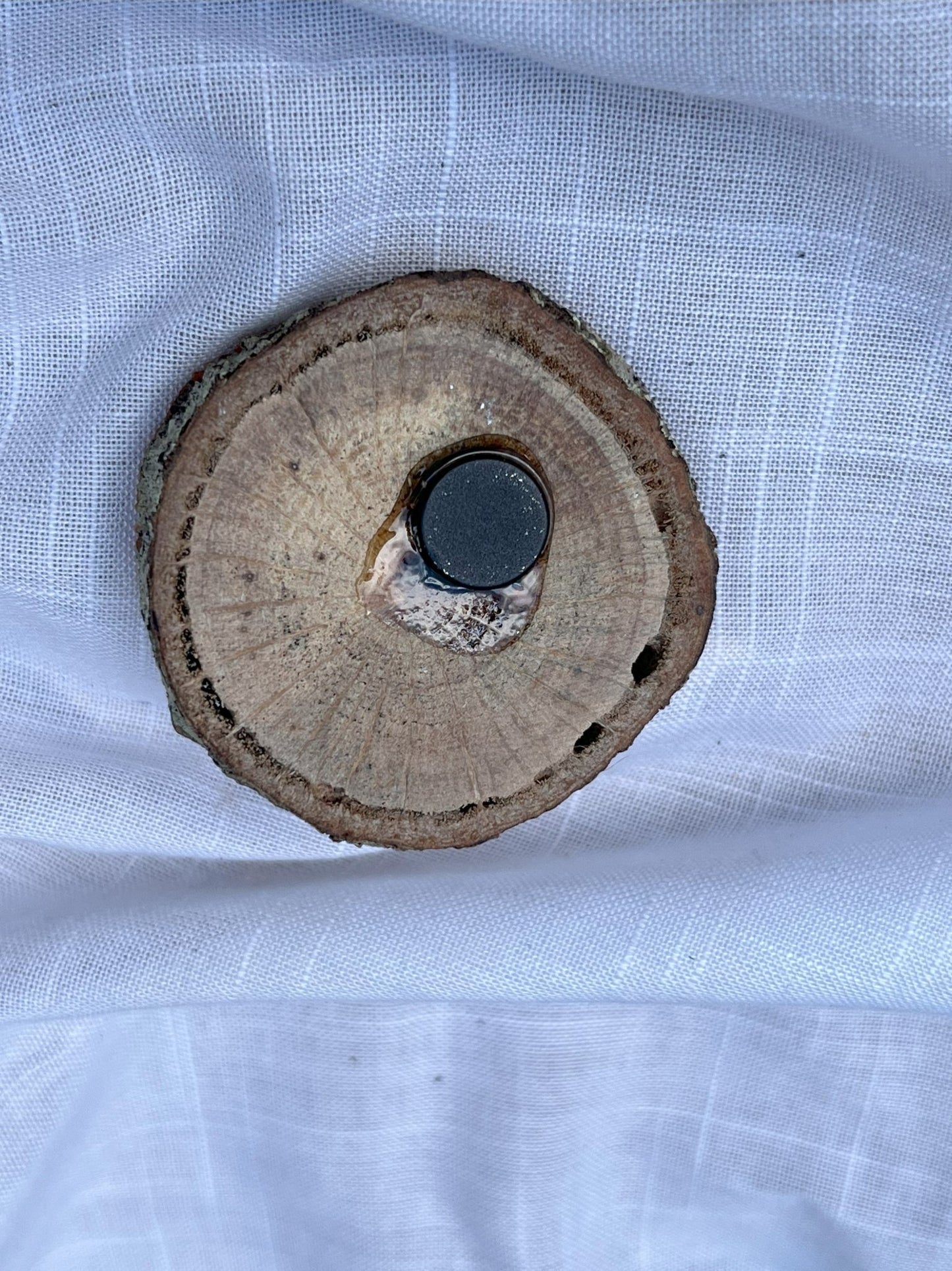 Beach Magnet (Small) Shell and Starfish Wood and Clay Magnet - Rainbow In The Pines