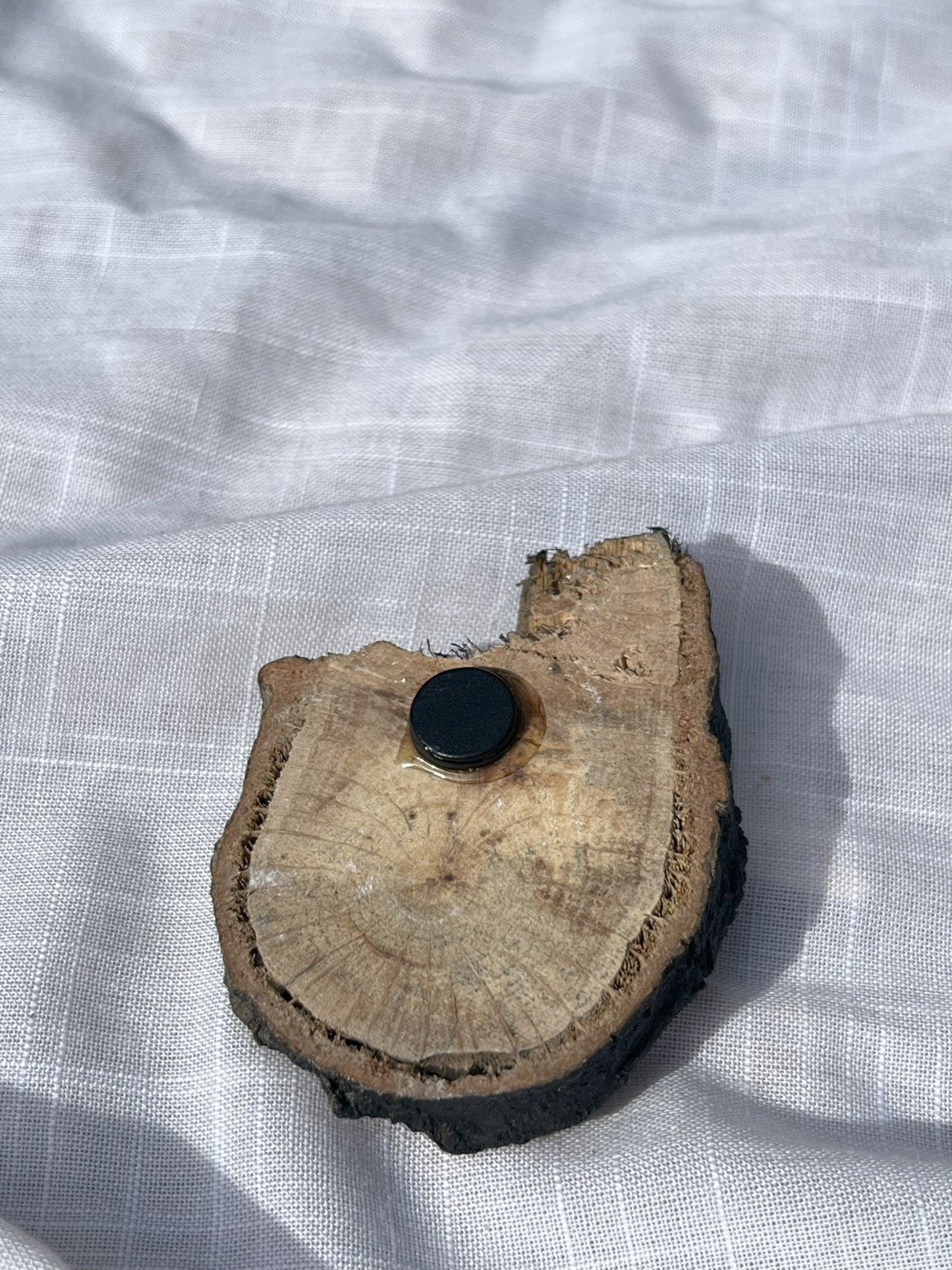 Butterfly Magnet (Blue Small) Wood and Clay Magnet - Rainbow In The Pines