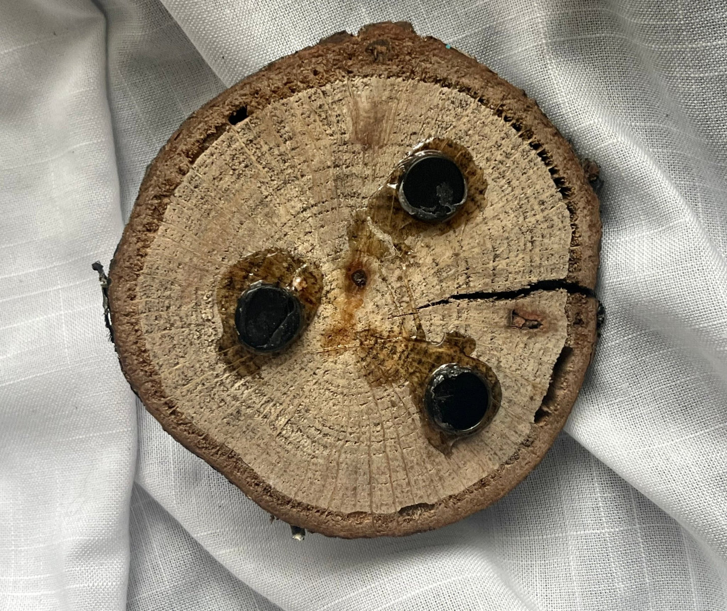 Human Brain Magnet Wood and Clay Magnet - Rainbow In The Pines