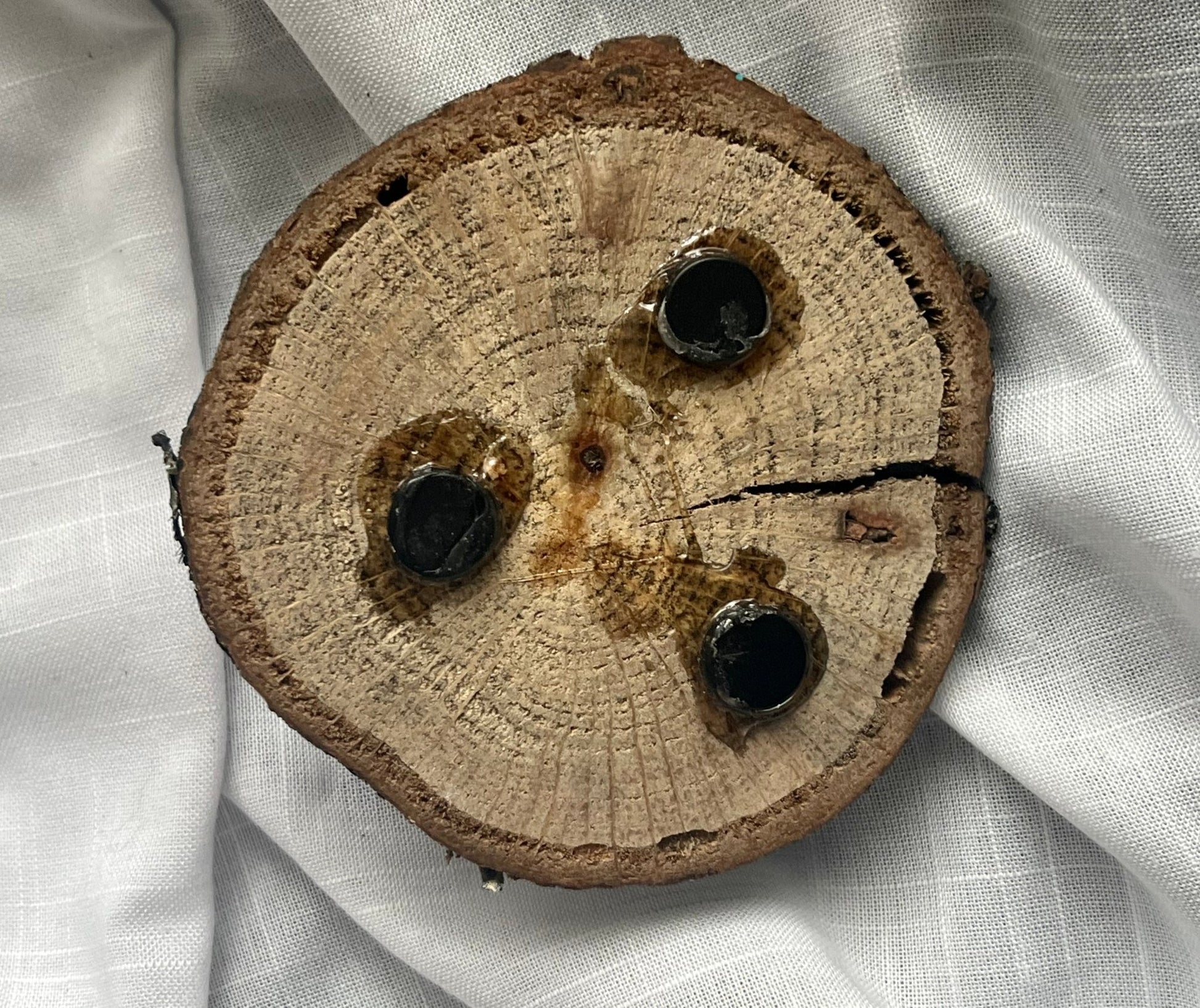 Human Brain Magnet Wood and Clay Magnet - Rainbow In The Pines