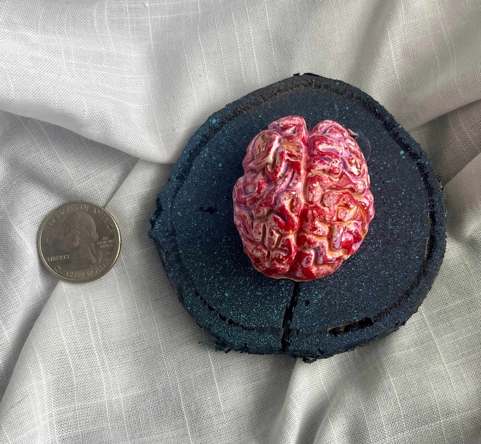 Human Brain Magnet Wood and Clay Magnet - Rainbow In The Pines