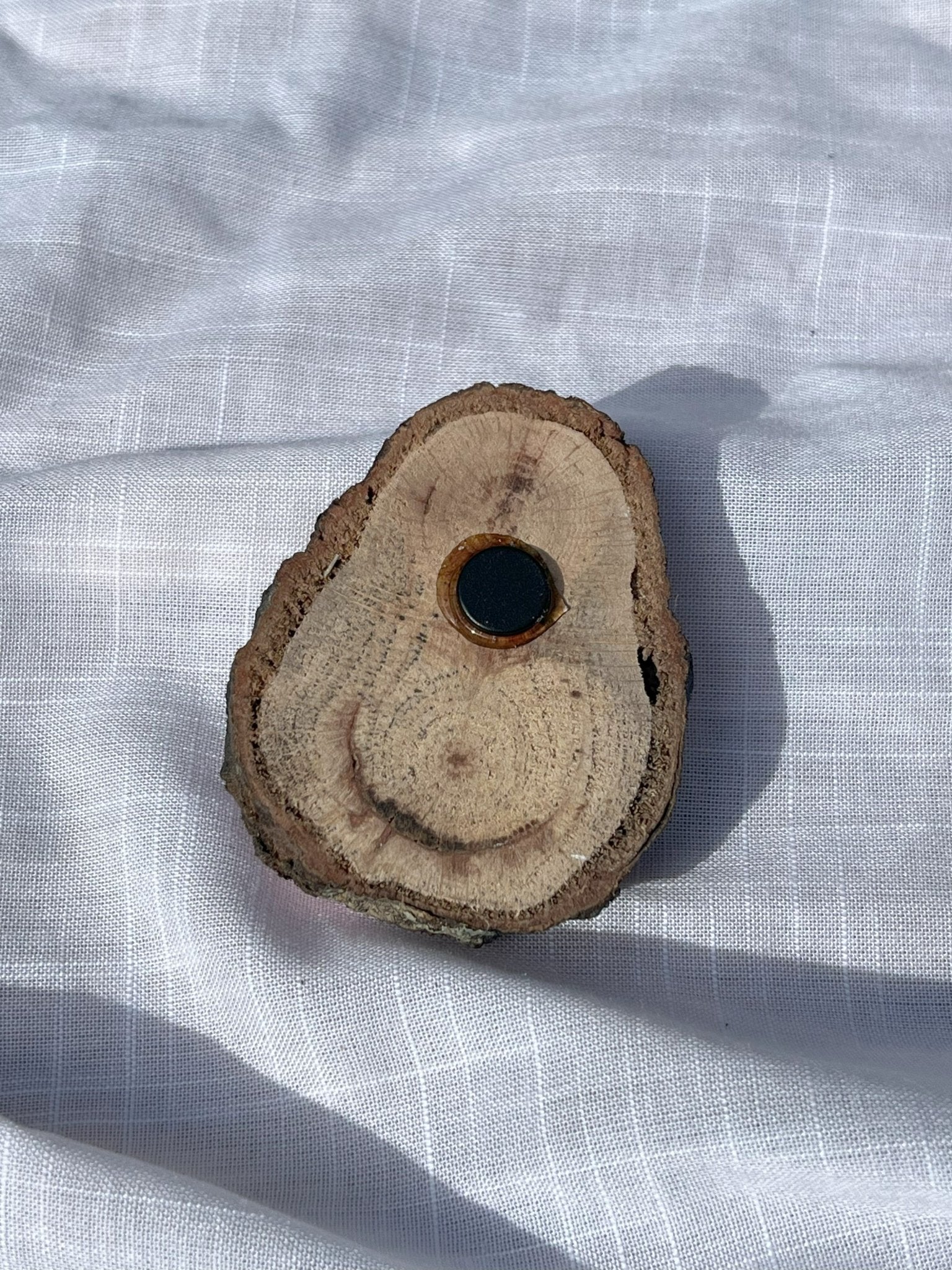 Jurassic Ferns Magnet Wood and Clay Magnet - Rainbow In The Pines