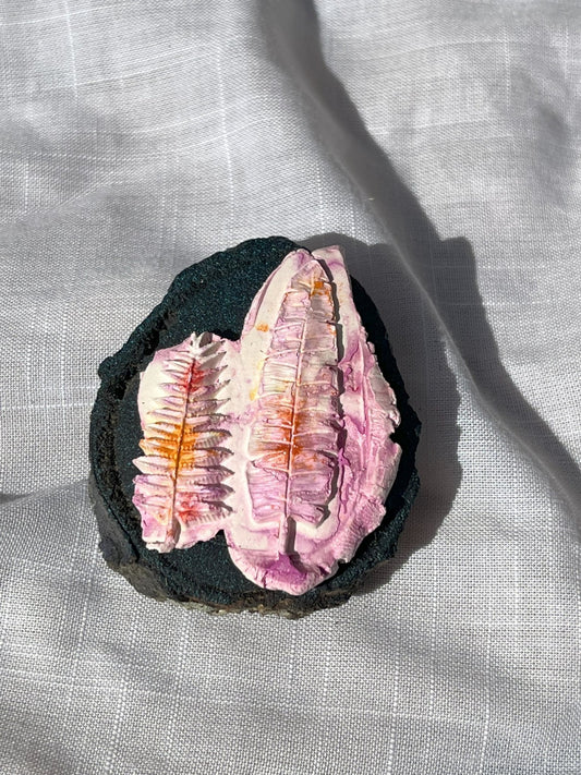 Jurassic Ferns Magnet Wood and Clay Magnet - Rainbow In The Pines