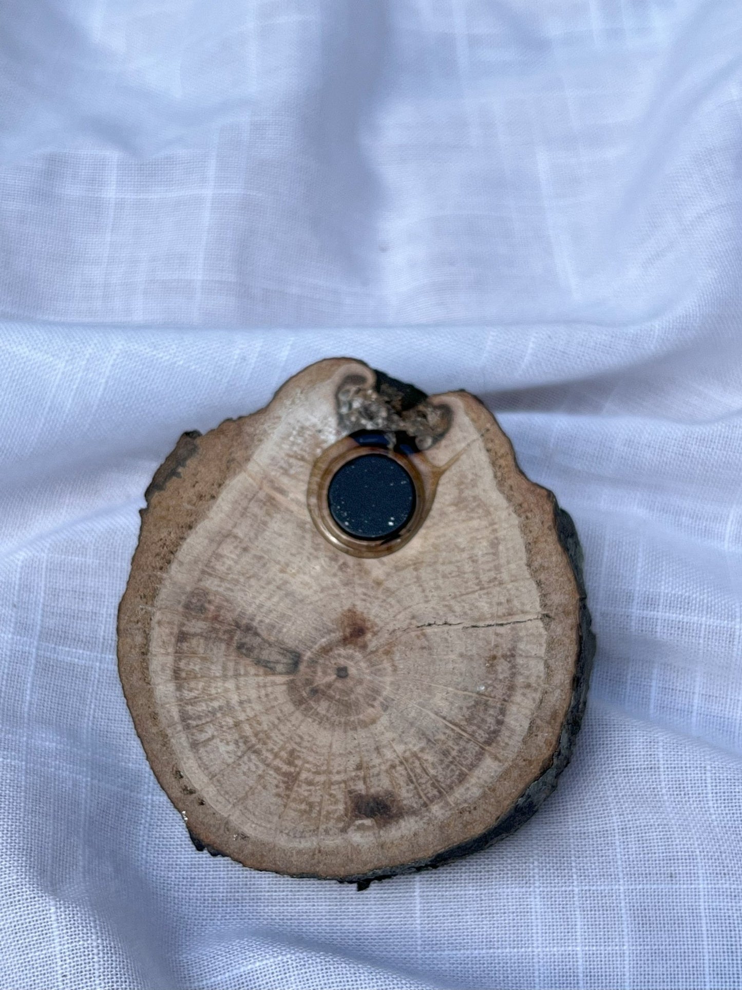 Spider Magnet Wood and Clay Magnet - Rainbow In The Pines