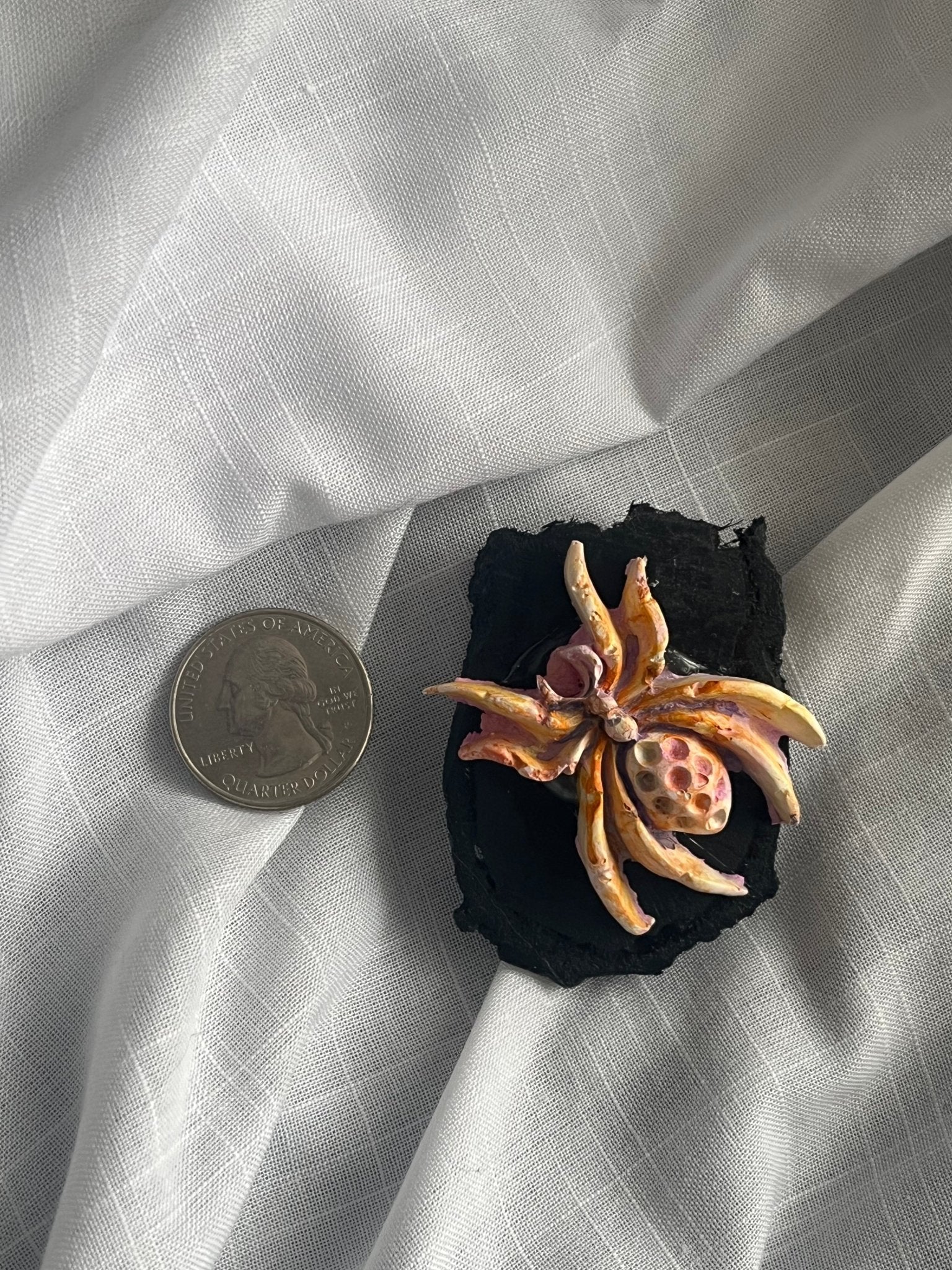 Spider Magnet 2 Wood and Clay Magnet - Rainbow In The Pines