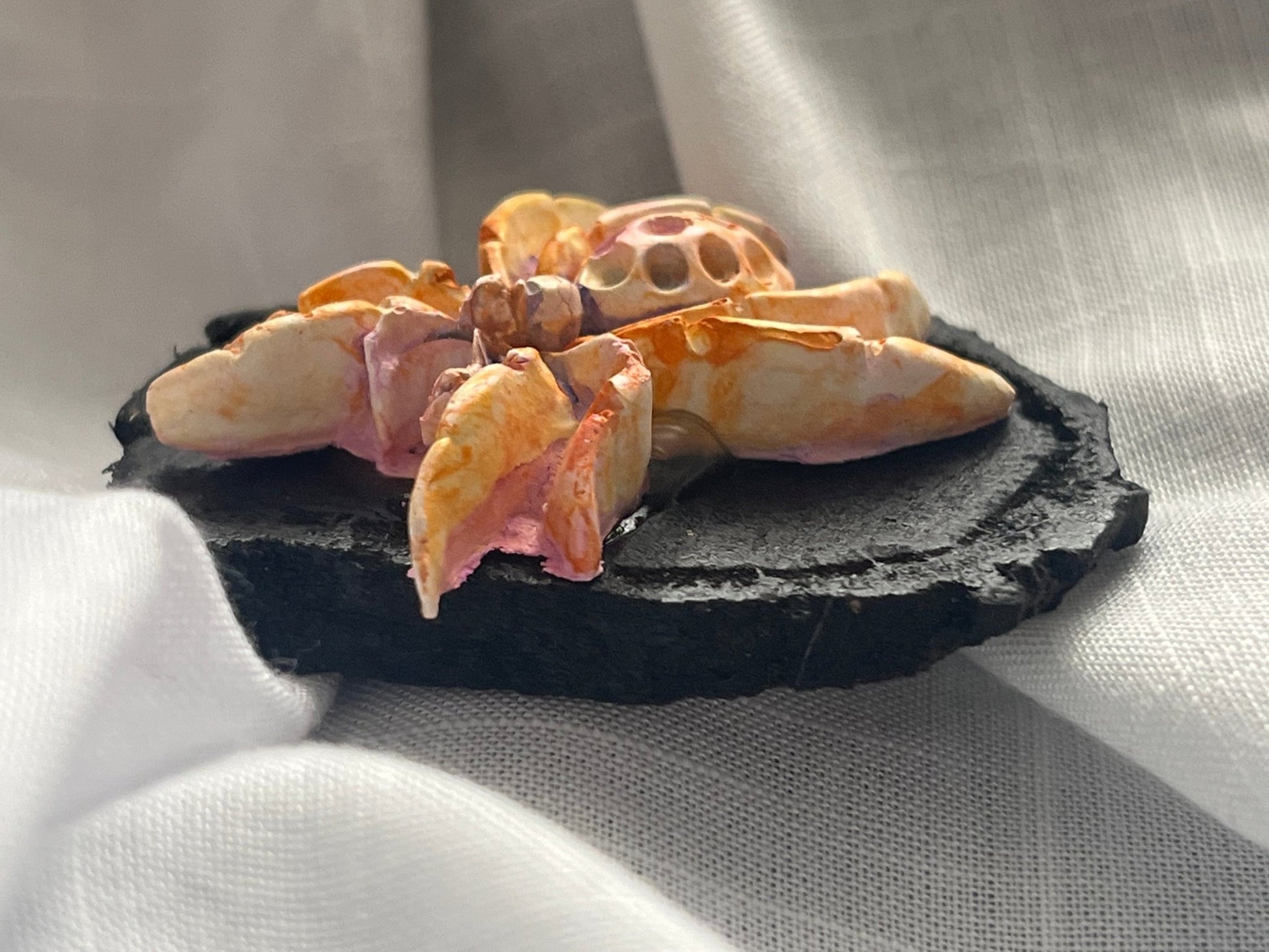 Spider Magnet 2 Wood and Clay Magnet - Rainbow In The Pines