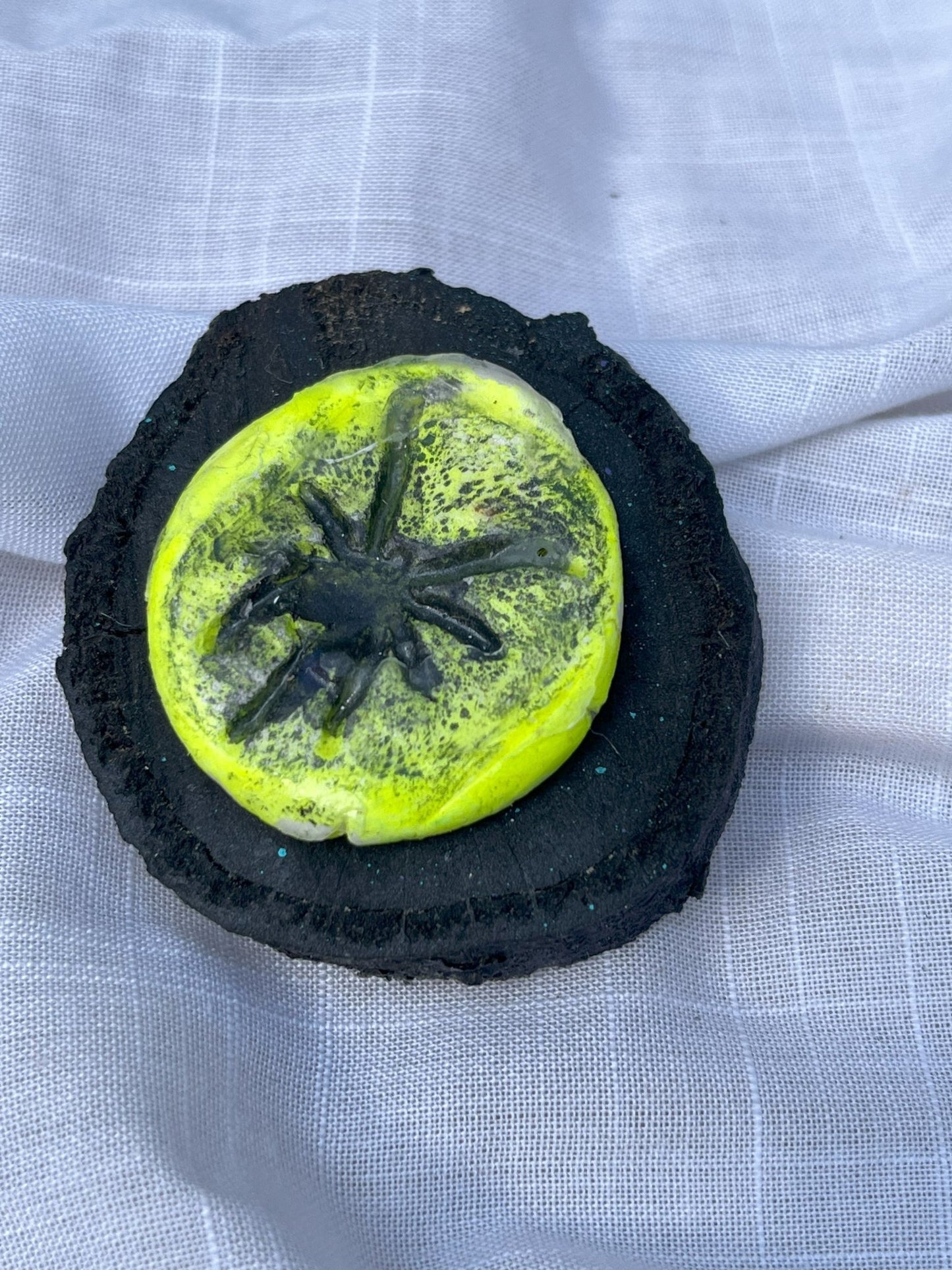 Spider Magnet Wood and Clay Magnet - Rainbow In The Pines